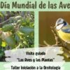 6 de octubre dia mundial de las aves con platalea