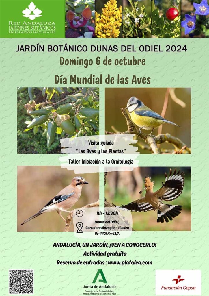 dia mundial de las aves platalea 2024