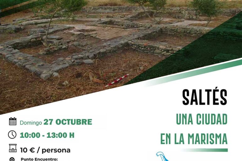 27 de cotubre visita isla saltes recorrido una ciudad en la marisma platalea