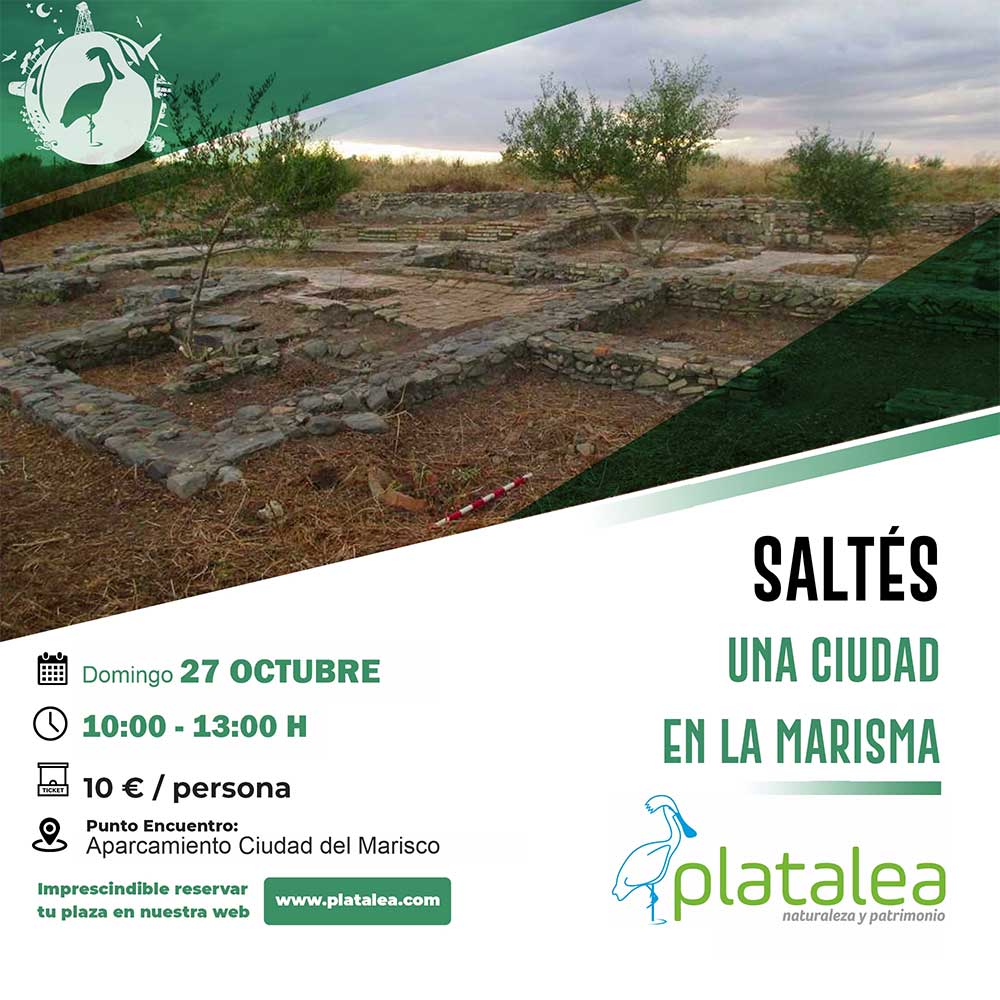 27 de cotubre visita isla saltes recorrido una ciudad en la marisma platalea