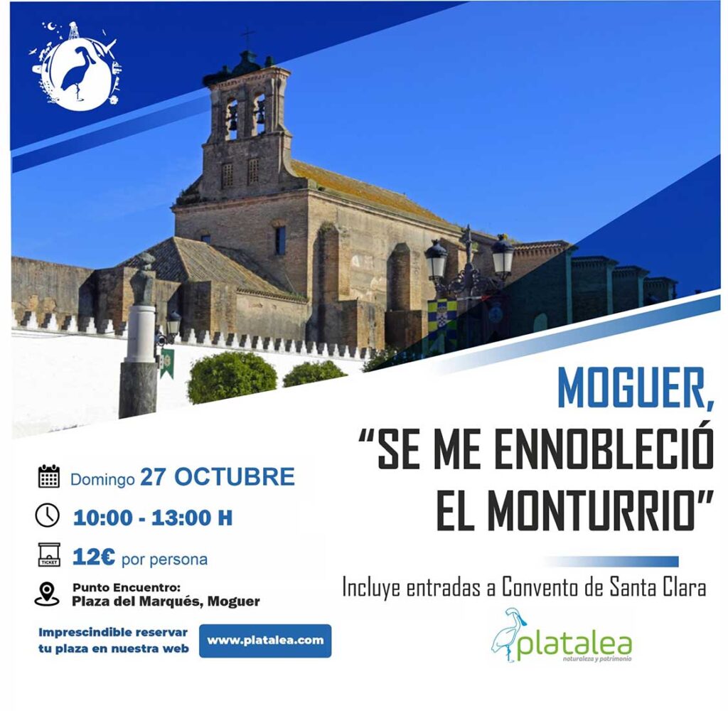 visita guiada moguer 27 octubre platalea