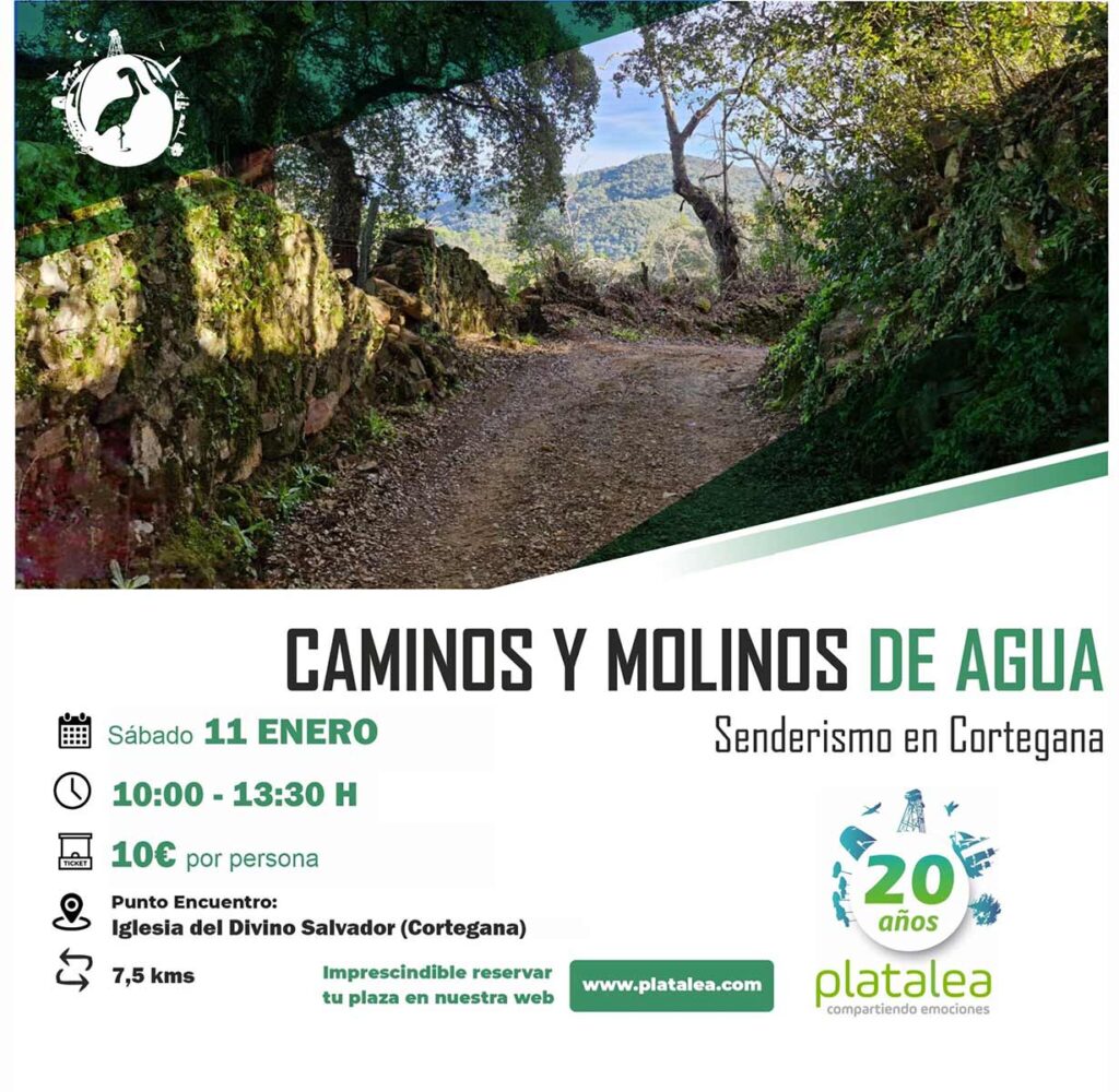 Ruta caminos y molinos de agua Cortegana 11 de enero 2025