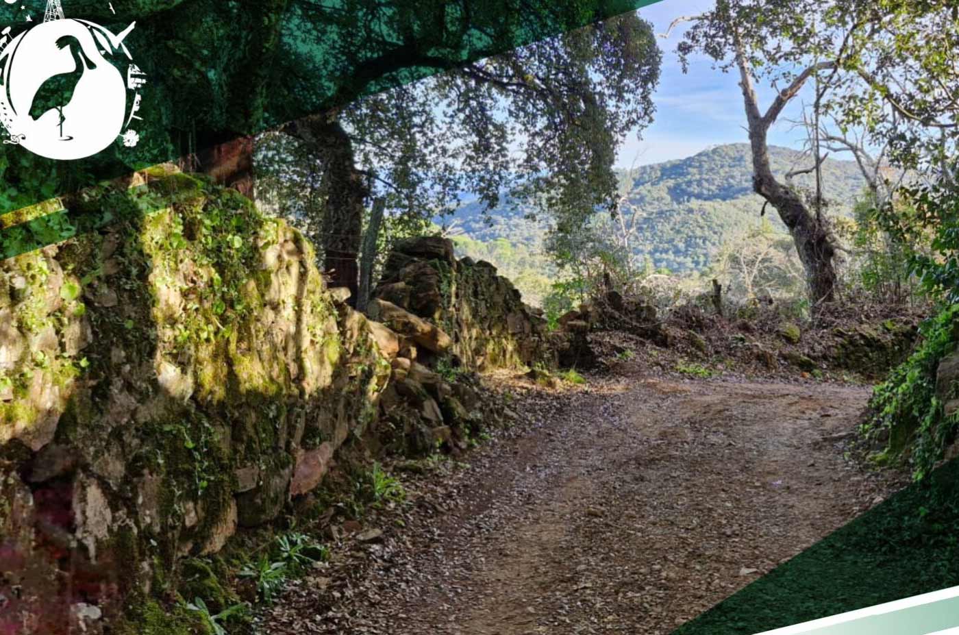 Ruta caminos y molinos de agua Cortegana